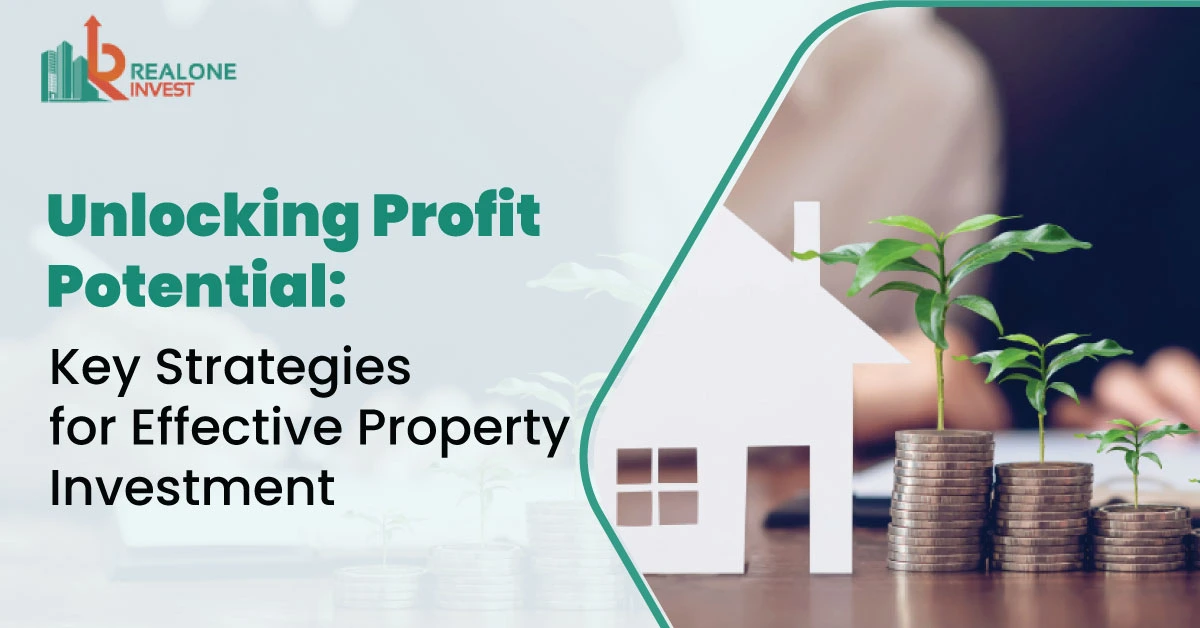 Profit Potential: Key Strategies for Property Investment